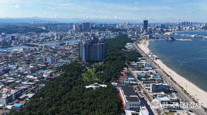 송도솔밭 도시숲 전경