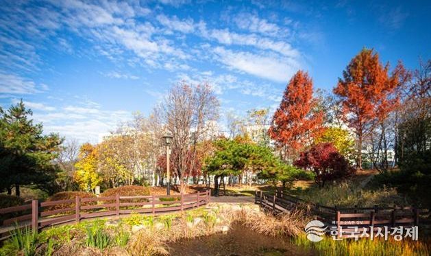 횡성 3.1공원, 산림청 주관‘모범도시숲’ 최종 선정