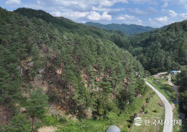 2025년 숲가꾸기 우수 사업지 '우수' 선정