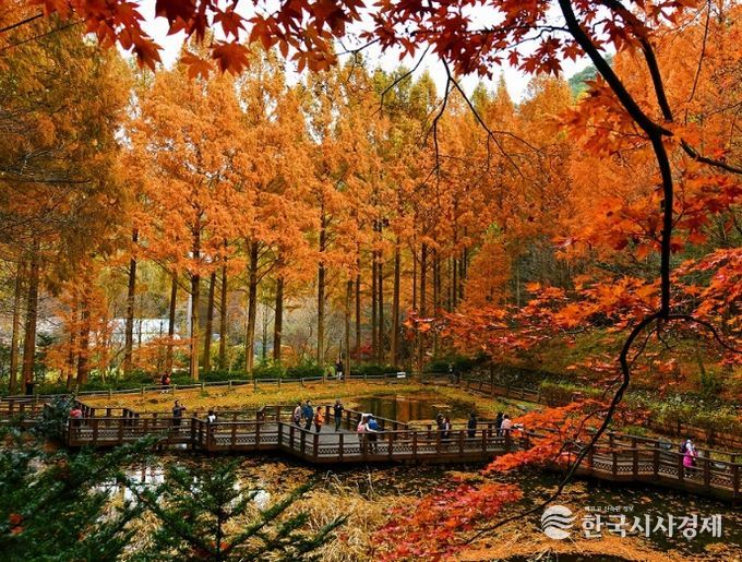 장태산휴양림 한 달간 교통대책 추진