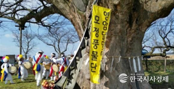 영암 군서면 모정마을