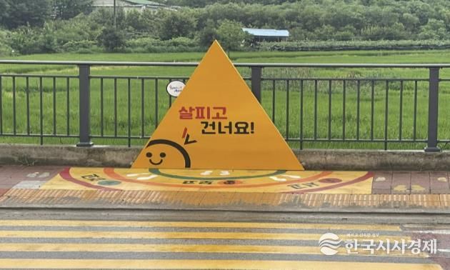 탕정초교 어린이보호구역 옐로카펫