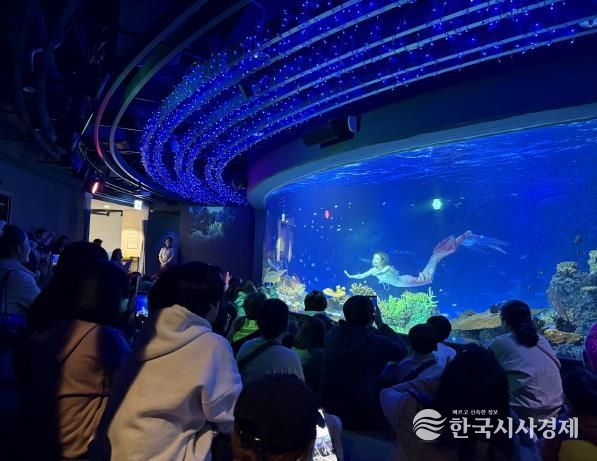 수원특례시 드림스타트 아동·가족이 아쿠아플라넷 관람을 하고 있다.