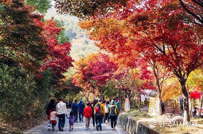 추천 관광지 사진-구례 지리산 피아골.