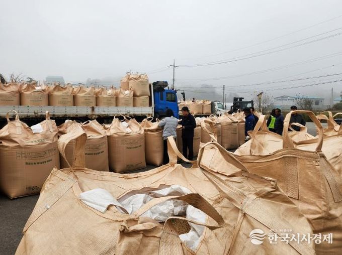세종시, 2025년산 공공비축미곡 건조벼 1,630t 매입