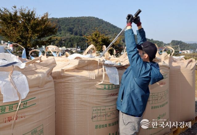 2025년산 공공비축미곡 첫 수매