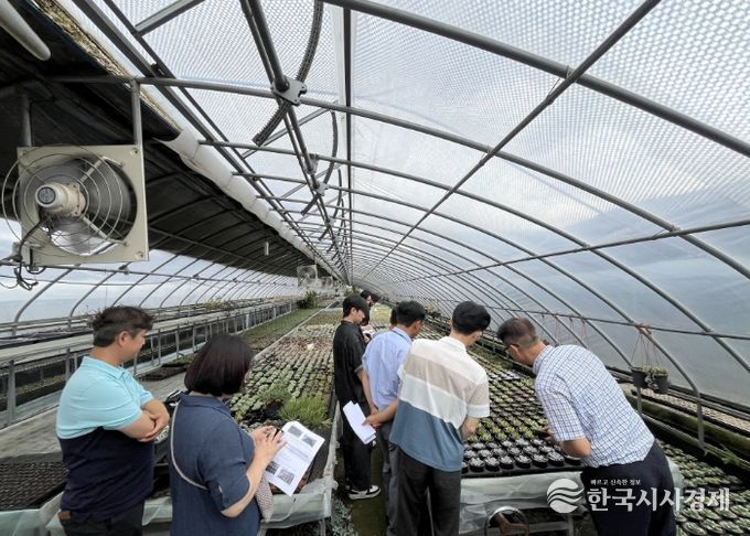 농업기술센터 실증온실에서 커피박과 우분을 혼합한 퇴비 시용 실험이 진행되고 있다.