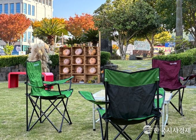 도도한 독서 산책