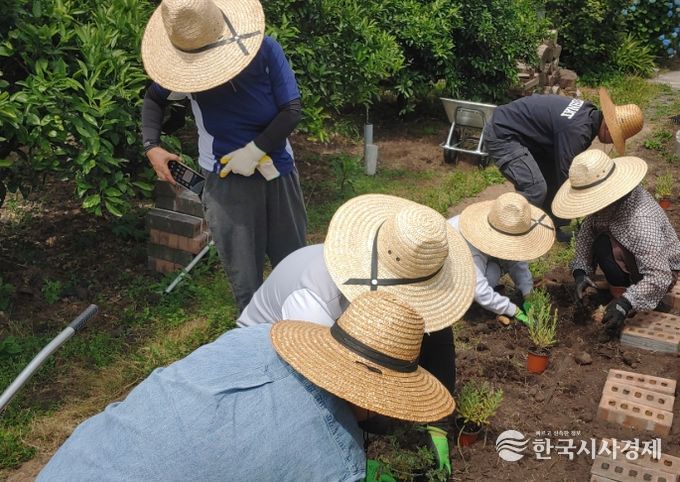 마음치유 프로그램