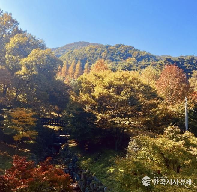 봉수산 자연휴양림 단풍 모습