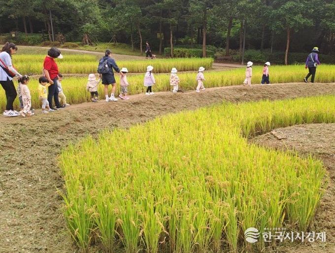 다랭이논 현황사진