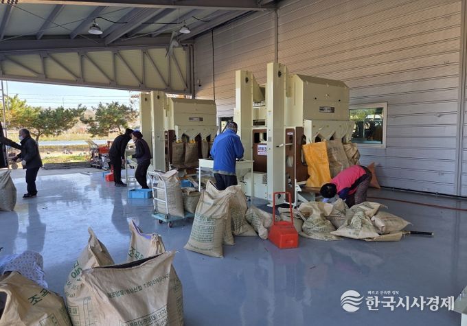 영천시 농기계임대사업소 서부본소에서 콩 정선기를 이용하고 있는 농업인들