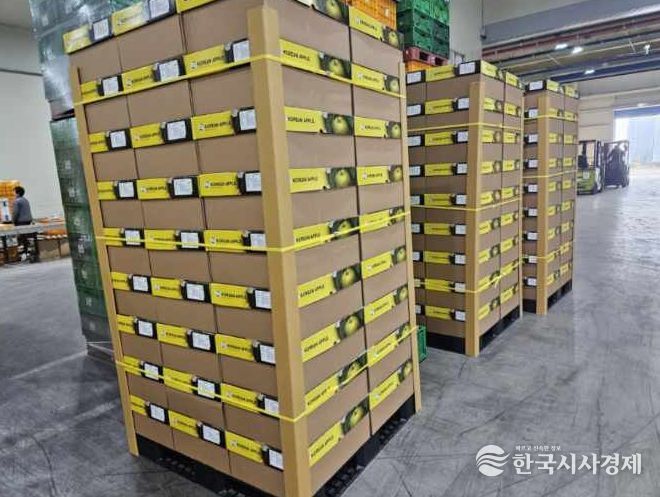 보은군, ‘결초보은 사과’ 베트남 하노이로 수출