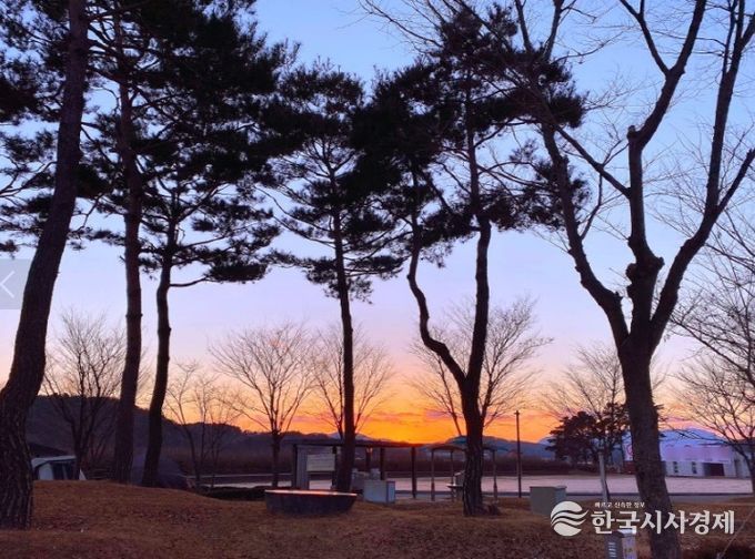 인삼골 오토캠핑장