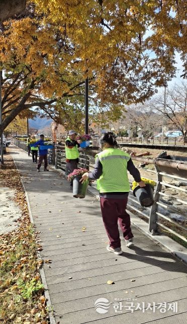 금산군 금산천·금천대교 꽃길화분 철거 모습