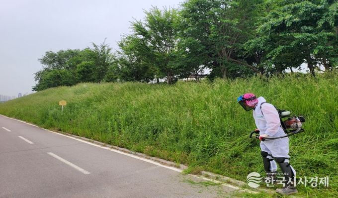 청주시, 무심천 등 국가하천 풀깎기 정비사업 완료