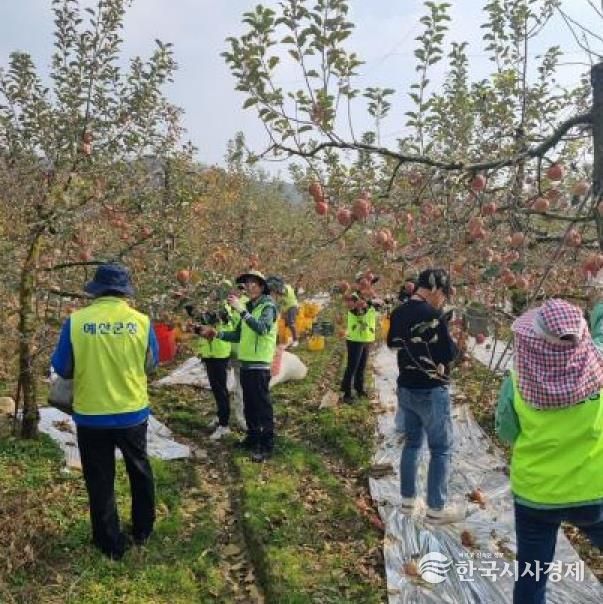 세무과 직원들이 농촌 일손돕기 활동에 참여하는 모습