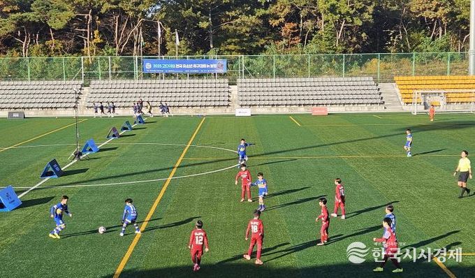 유소년 축구대회 사진