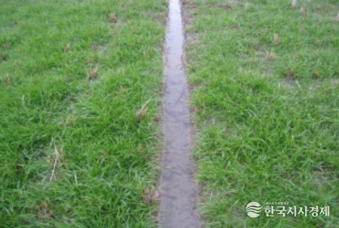 배수로가 정비된 재배지