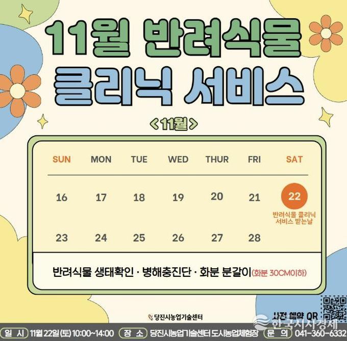 11월 반려식물 클리닉 카드뉴스