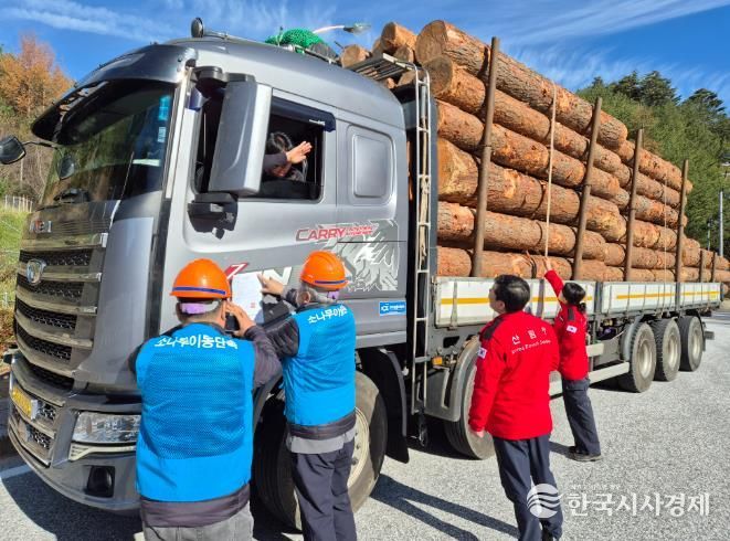 정선군, 2025년 가을철 소나무류 이동 특별단속 추진