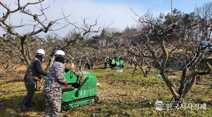영암군, 내년 영농부산물 안전처리 지원사업 신청 접수