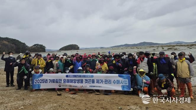 지난 18일 지곡면 도성리, 대요리 일원 갯벌에서 진행된 갯끈풀 제거 작업