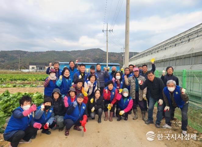 바르게살기운동 합천군협의회, 배추뽑기 봉사활동 실시
