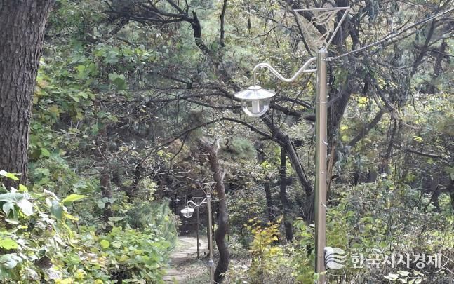 서산시, 부춘산 등산로 보안등 설치 완료