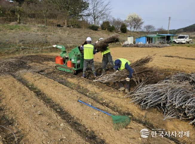 영농부산물 파쇄 모습.