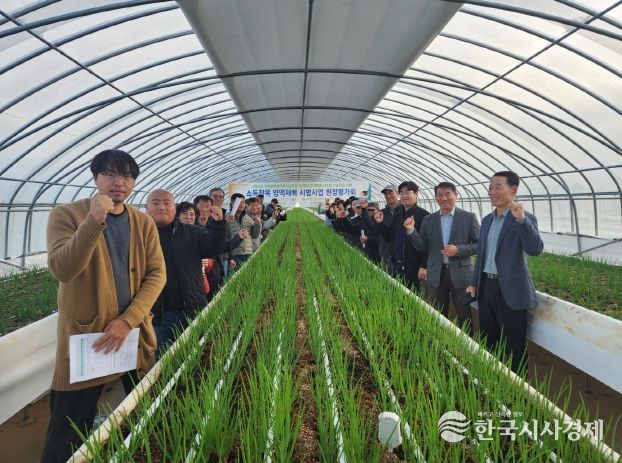 서천군, 쪽파 양액재배로 연 6~8기작 주년생산 체계 구축 성공