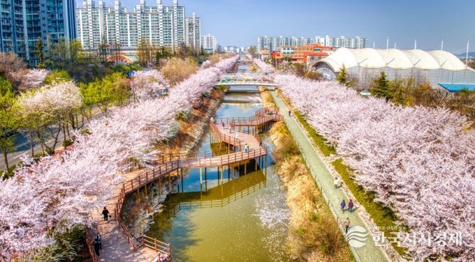 서부간선로의 봄