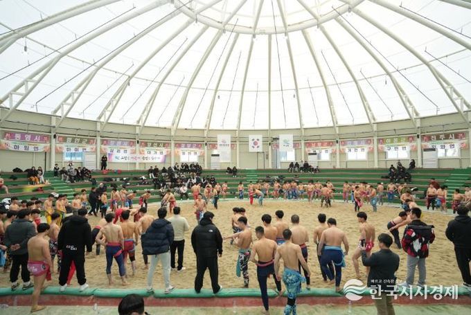 고성군 2026 동계 전지훈련 준비 박차