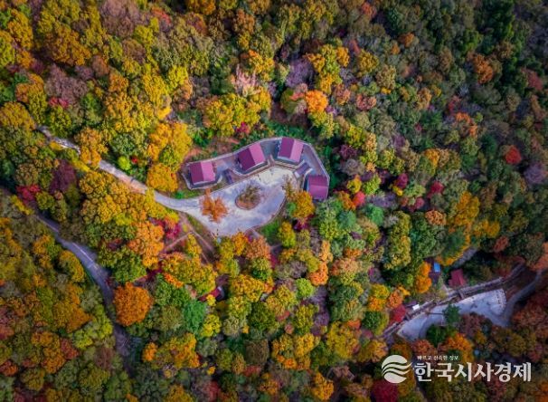 거제자연휴양림 전경