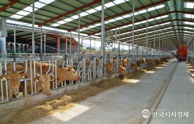 축산 농가 시름 던다.. 정읍시, 동절기 재해대책 상황실 본격 가동