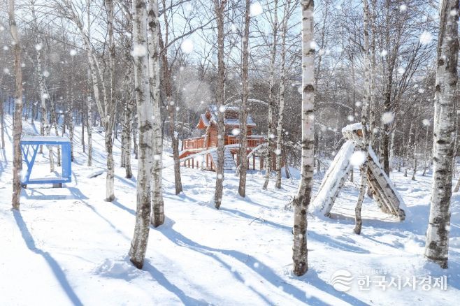 태백시, 인플루언서와 손잡고 겨울 콘텐츠 홍보