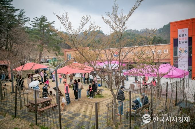 강릉시, 2025년 도내 유기동물 입양률 1위