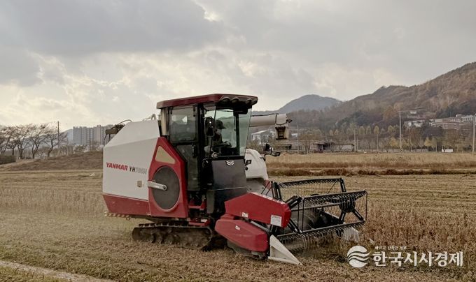 임실군, 논콩 수확 농작업 대행…전량 완료
