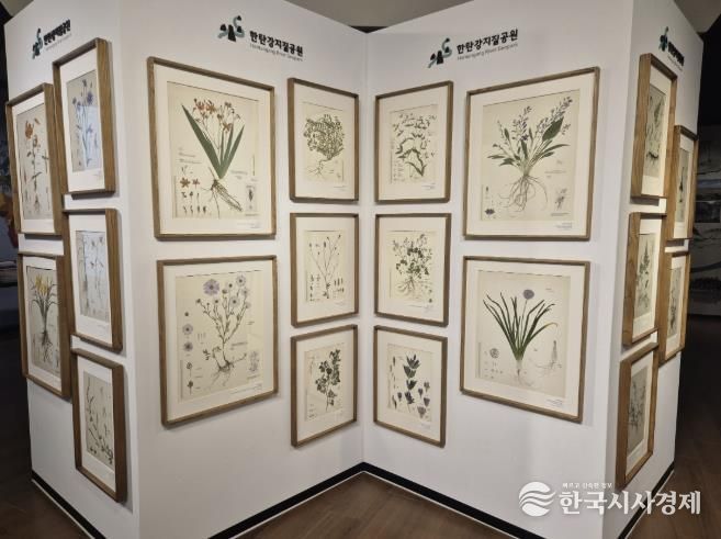 포천시, 한탄강의 아름다운 색채를 담은 압화 전시 개최