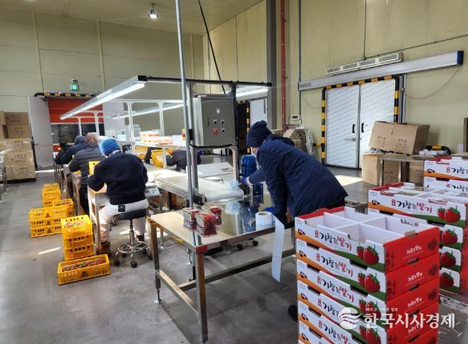 거창군 서북부경남거점APC, 딸기공선조직 결성