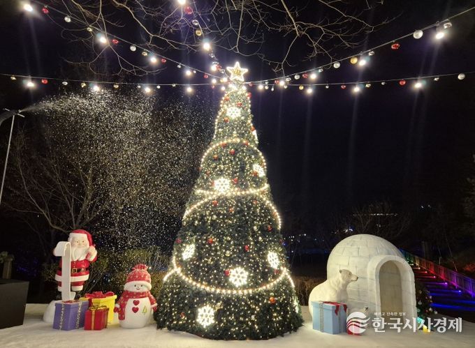 겨울 낭만 가득한 ‘눈 내리는 빛의 숲’