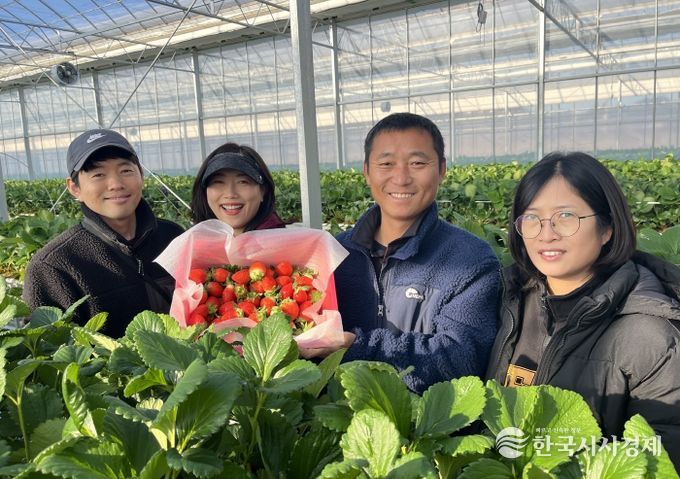 스마트팜에서 딸기를 재배한 농가의 모습