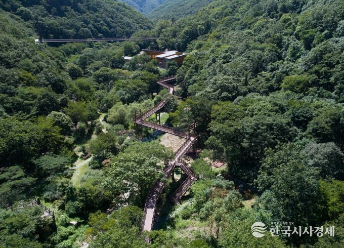 금산산림문화타운