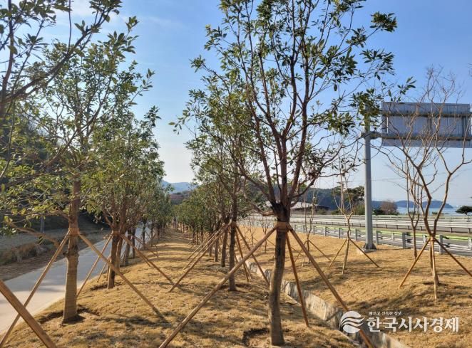 남해군, '도시숲 및 녹지공간 조성' 우수기관 선정 = 기후대응 도시숲