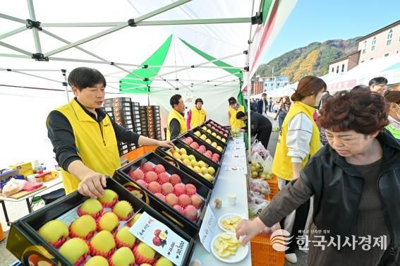 정선군, 농식품부 과수분야 연차평가 강원도 유일 인센티브 확보 정선사과 축제(2025)