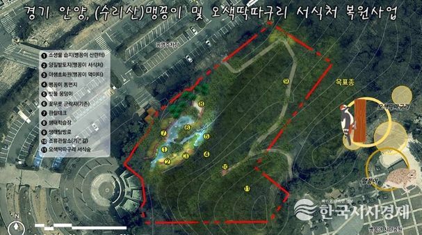 안양시, 병목안시민공원 맹꽁이・오색딱따구리 서식처 복원…국비 4.4억 확보