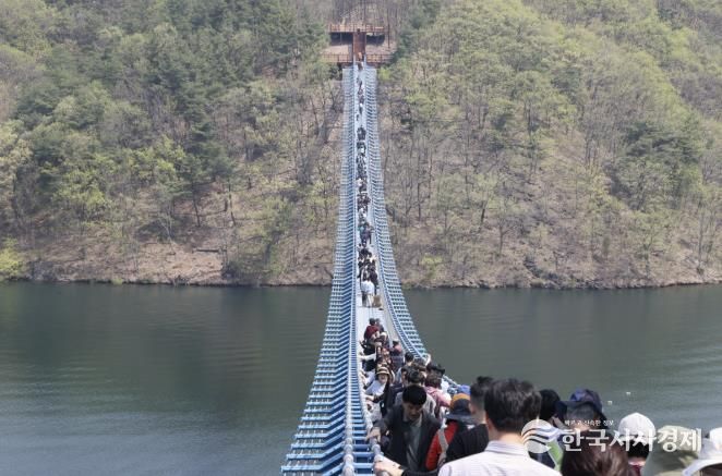 미르309 출렁다리 사진