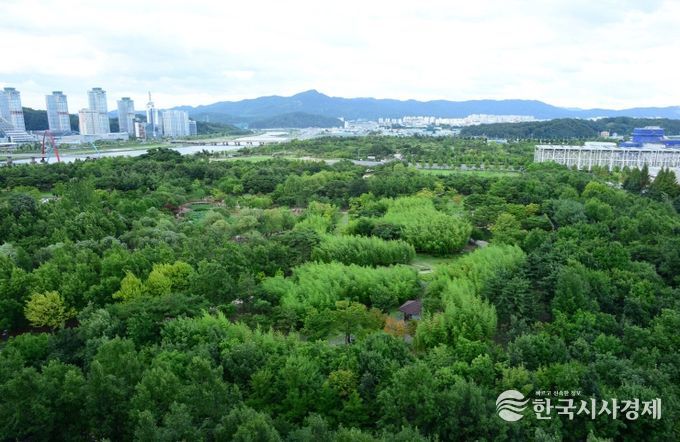 대전시 기후대응숲 3년 동안 19.3㏊ 조성