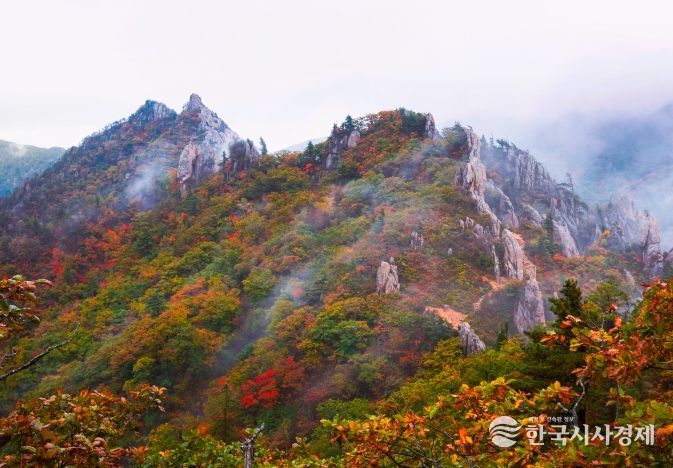 금상 어승완 공룡능선의비경(경기 군포)
