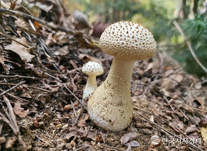 울산시, 생물다양성 사진전시회